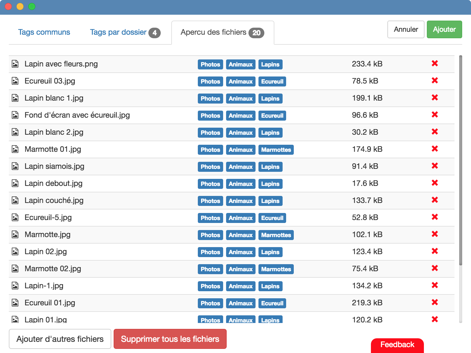 Exemple de l'ajout de fichers avec TagFlow