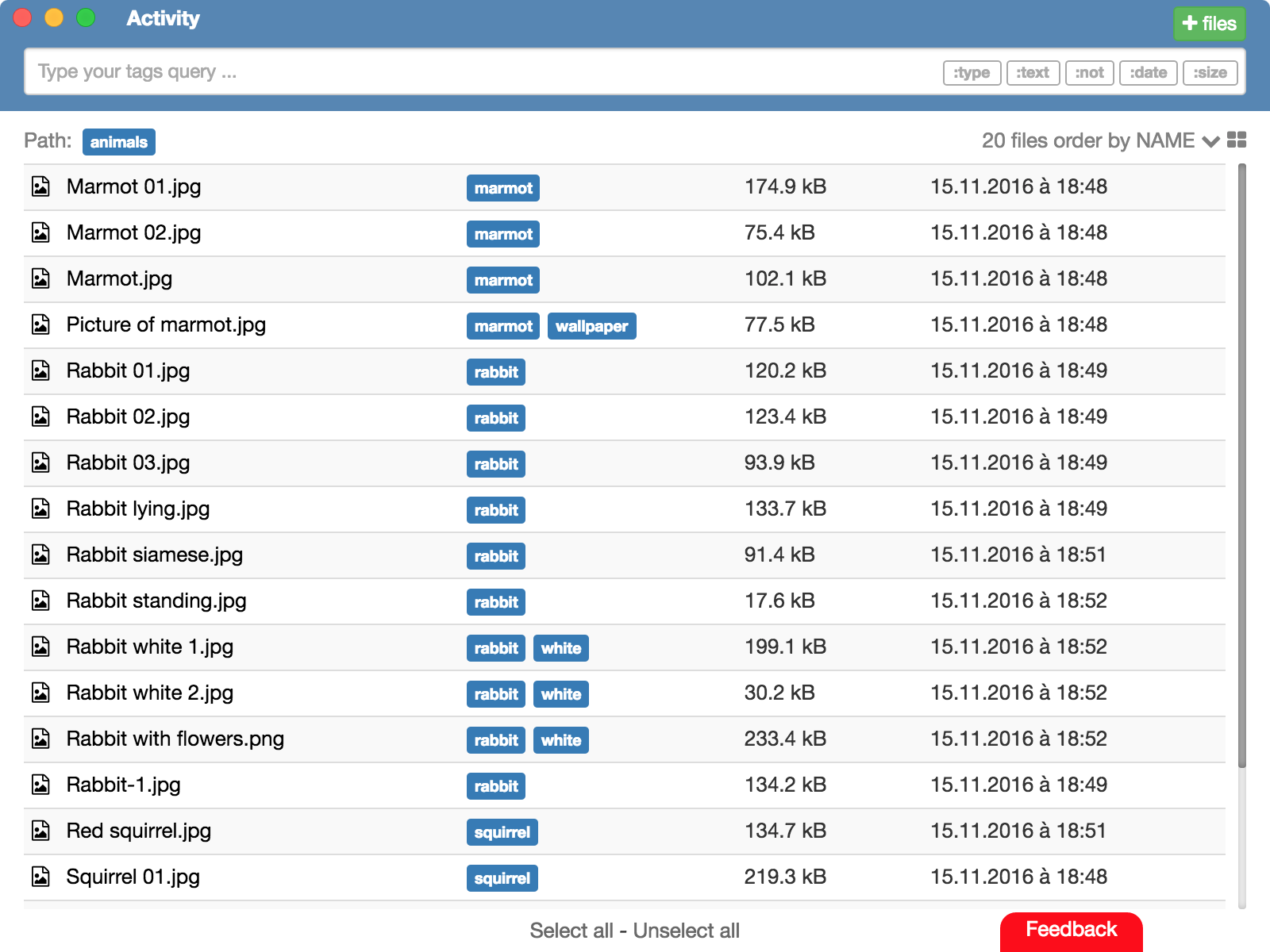 TagFlow Main Window